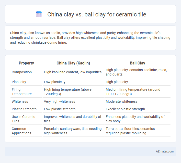 China clay vs. ball clay for ceramic tile - What is The Difference?