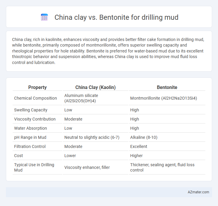 China clay vs. Bentonite for drilling mud - What is The Difference?