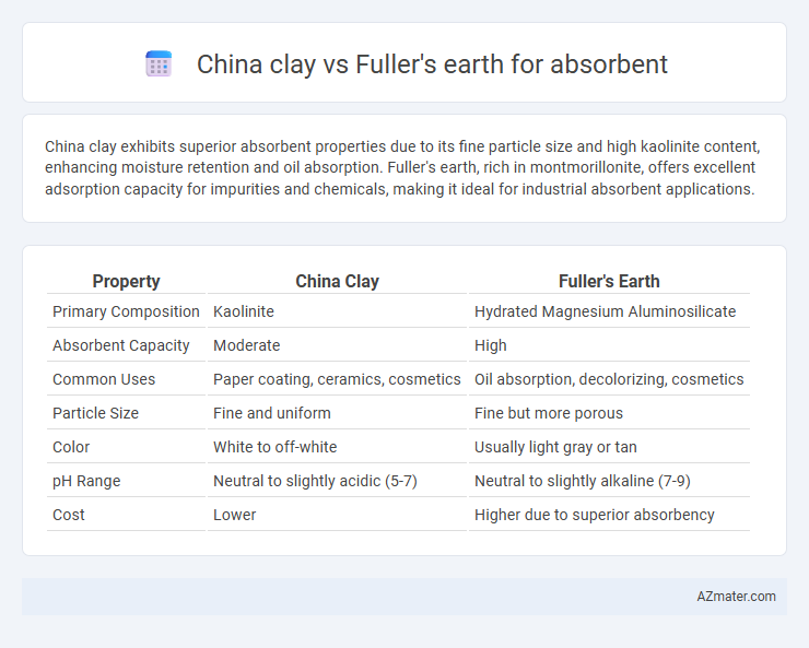 China clay vs Fuller's earth for absorbent - What is The Difference?