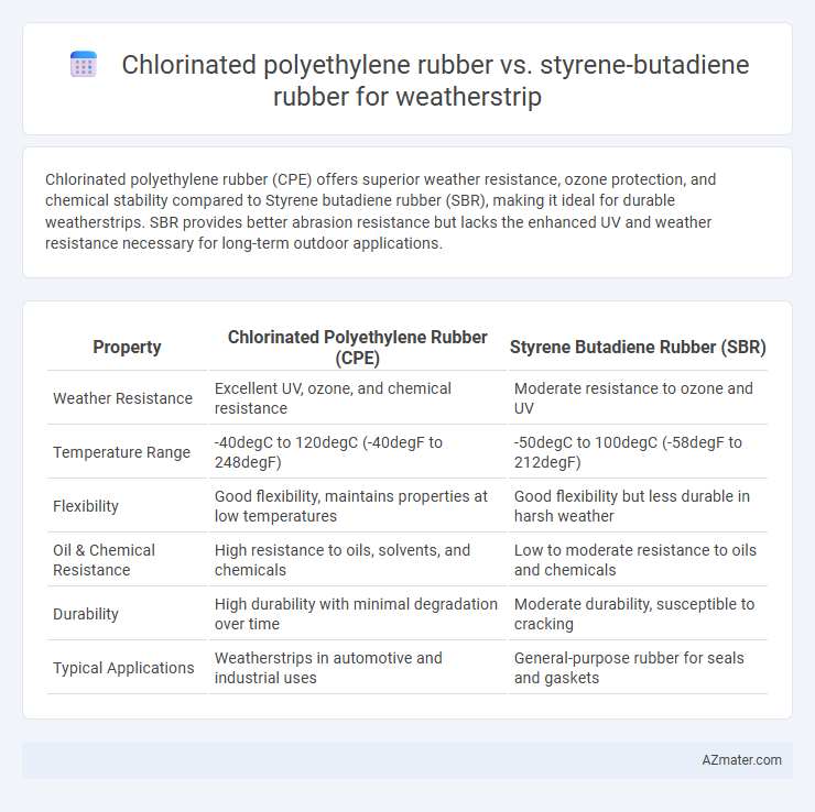 Chlorinated polyethylene rubber vs. styrene-butadiene rubber for weatherstrip - What is The Difference?