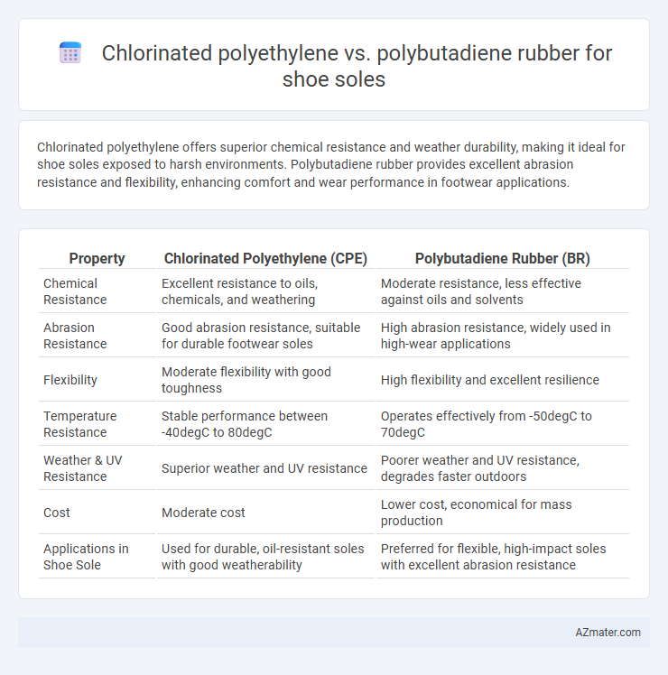 Chlorinated polyethylene vs. polybutadiene rubber for shoe soles - What is The Difference?