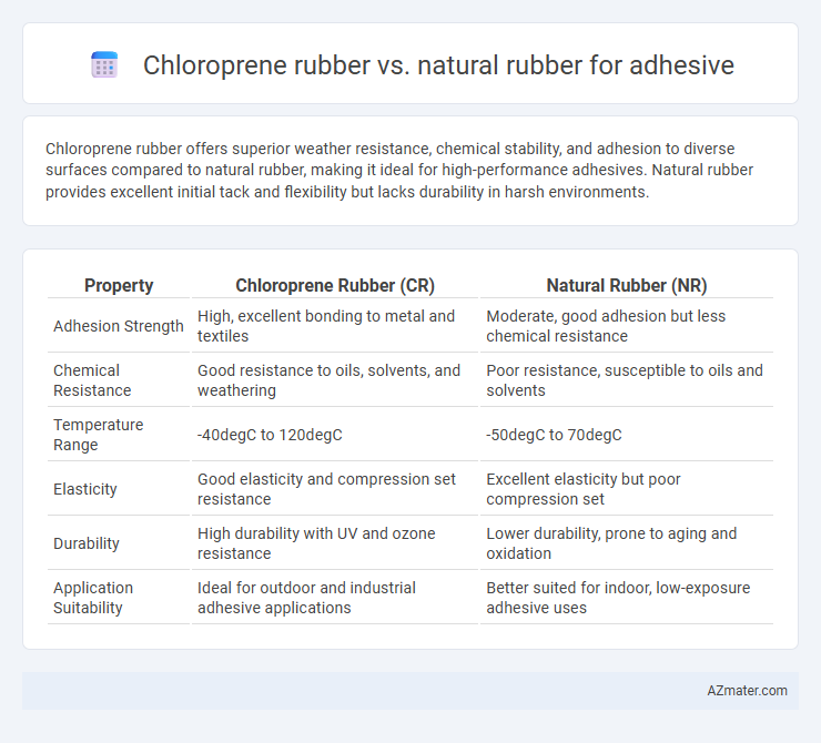 Chloroprene rubber vs. natural rubber for adhesive - What is The Difference?