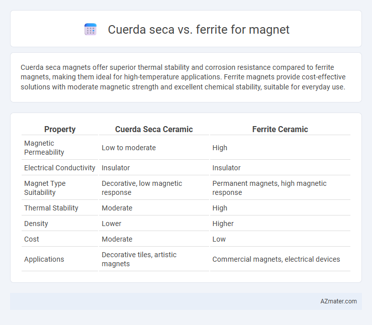 Cuerda seca vs. ferrite for magnet - What is The Difference?