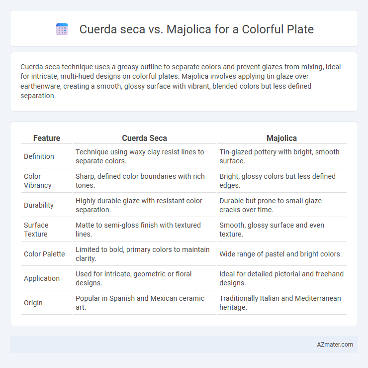 Cuerda seca vs. Majolica for a Colorful Plate - What is The Difference?