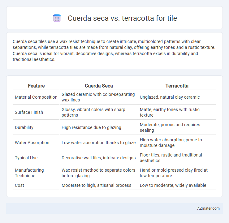 Cuerda seca vs. terracotta for tile - What is The Difference?