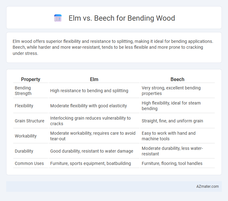 Elm vs. Beech for Bending Wood - What is The Difference?