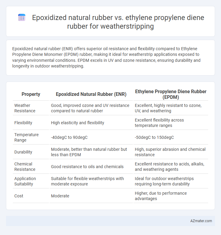 Epoxidized natural rubber vs. ethylene propylene diene rubber for weatherstripping - What is The Difference?