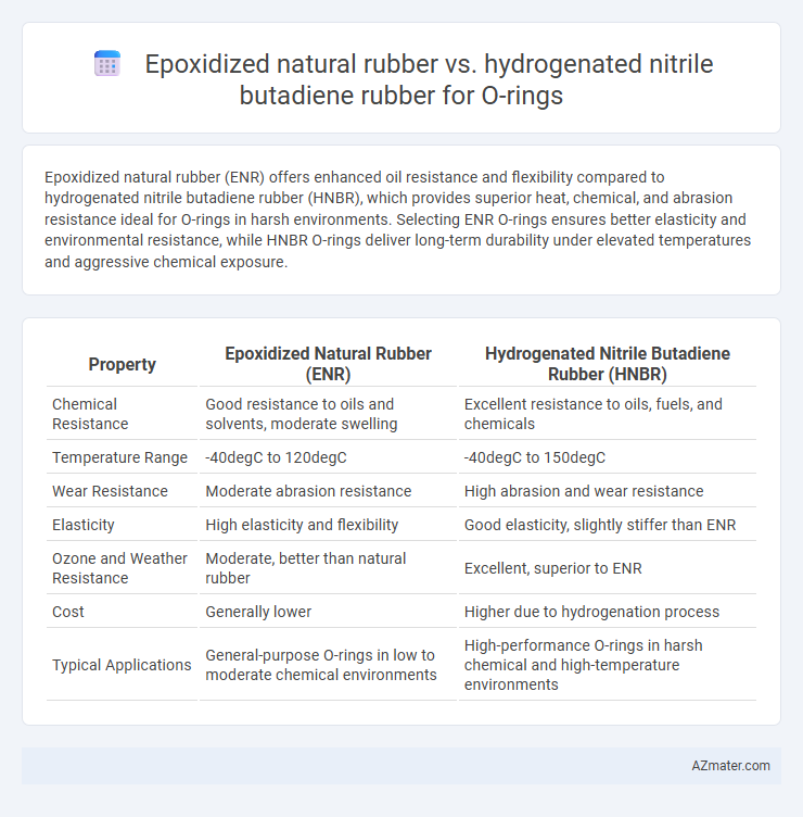 Epoxidized natural rubber vs. hydrogenated nitrile butadiene rubber for O-rings - What is The Difference?