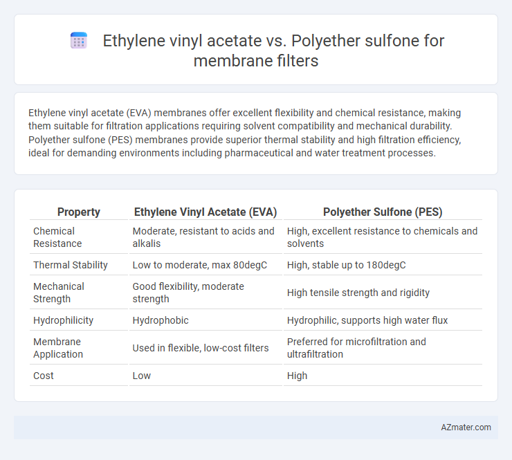 Ethylene vinyl acetate vs. Polyether sulfone for membrane filters - What is The Difference?