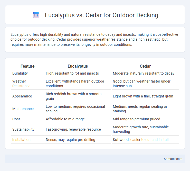 Eucalyptus vs. Cedar for Outdoor Decking - What is The Difference?