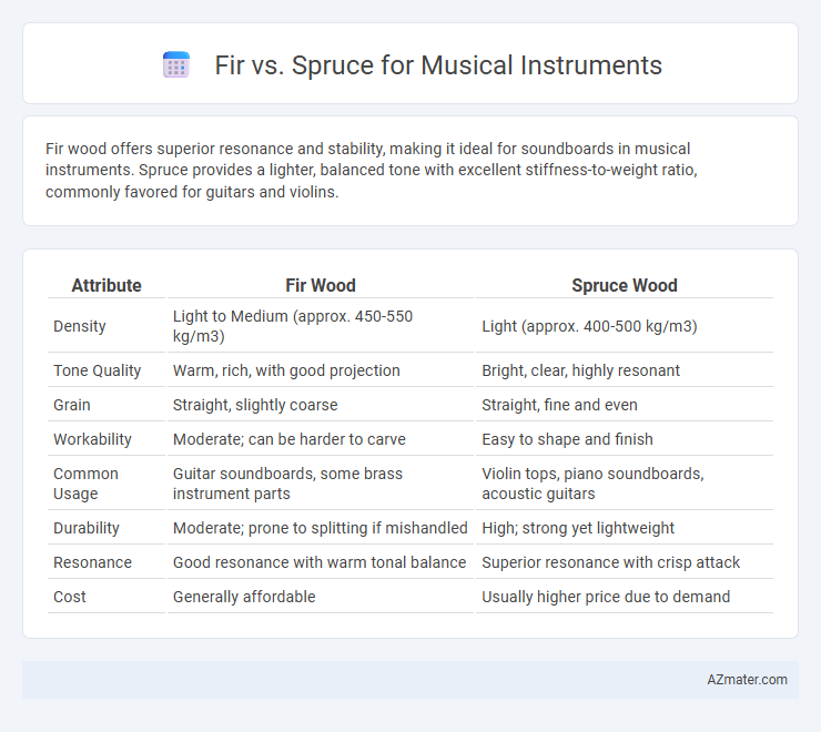 Fir vs. Spruce for Musical Instruments - What is The Difference?