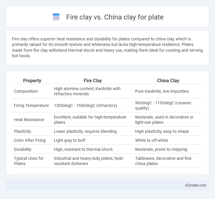 Fire clay vs. China clay for plate - What is The Difference?