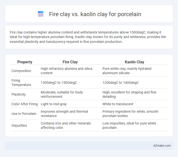 Fire clay vs. kaolin clay for porcelain - What is The Difference?