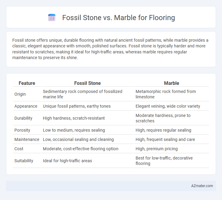 Fossil Stone vs. Marble for Flooring - What is The Difference?