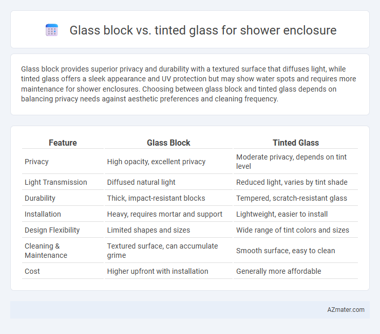 Glass block vs. tinted glass for shower enclosure - What is The Difference?