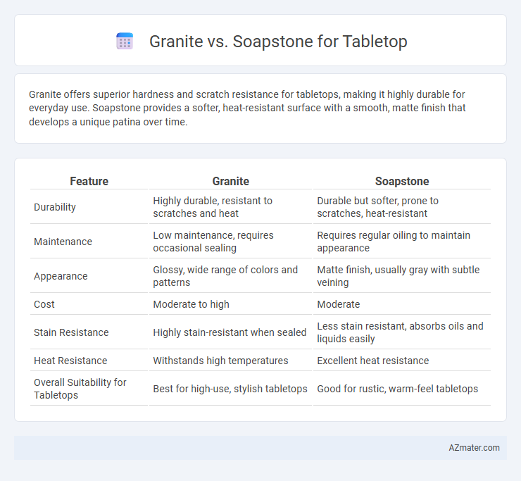 Granite vs. Soapstone for Tabletop - What is The Difference?