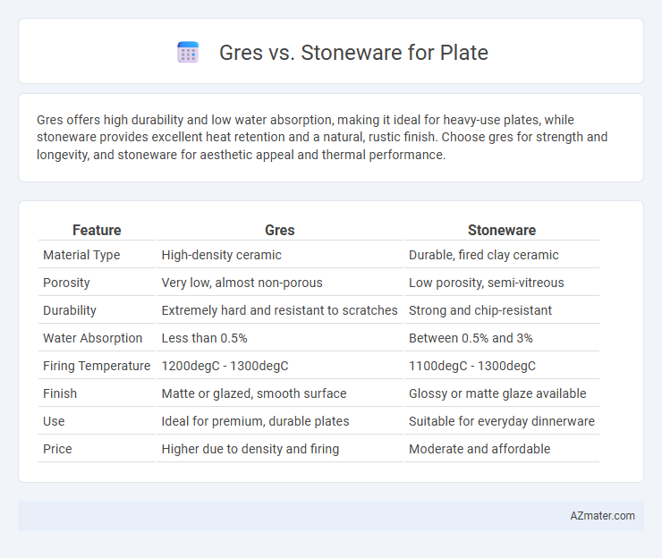 Gres vs. Stoneware for Plate - What is The Difference?