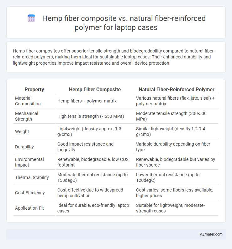 Hemp fiber composite vs. natural fiber-reinforced polymer for laptop cases - What is The Difference?
