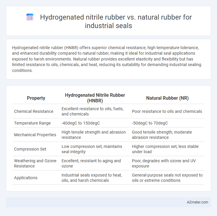 Hydrogenated nitrile rubber vs. natural rubber for industrial seals - What is The Difference?