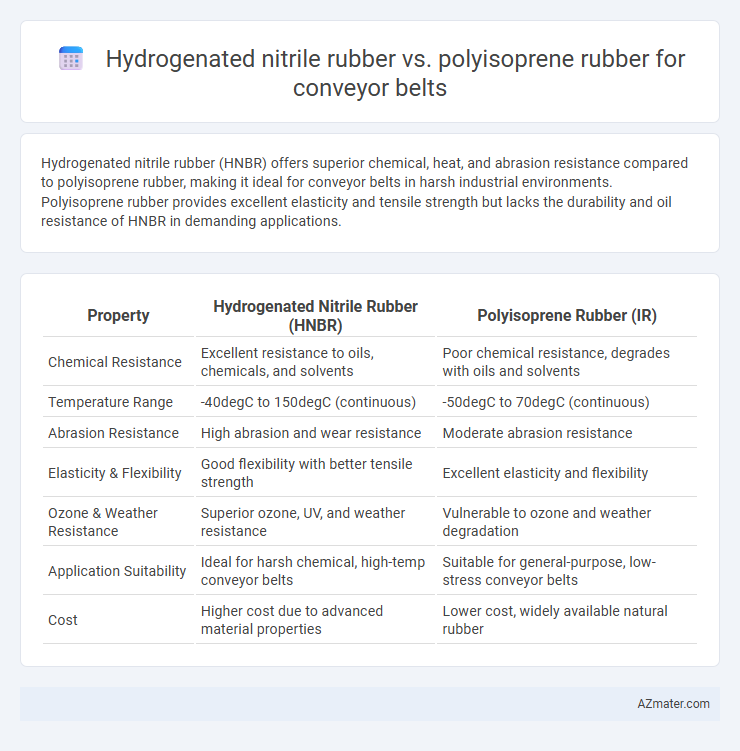 Hydrogenated nitrile rubber vs. polyisoprene rubber for conveyor belts - What is The Difference?