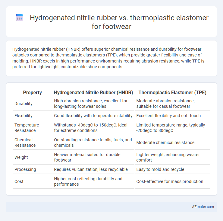 Hydrogenated nitrile rubber vs. thermoplastic elastomer for footwear - What is The Difference?