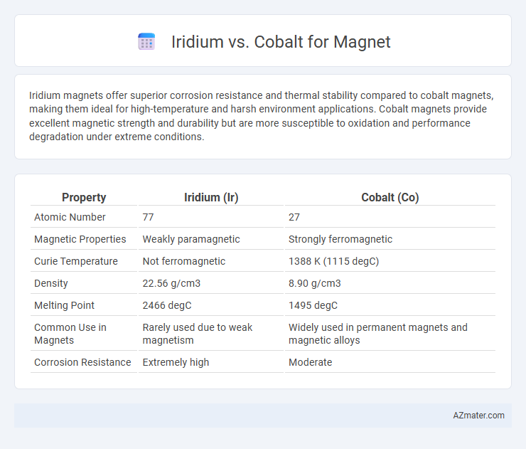 Iridium vs. Cobalt for Magnet - What is The Difference?