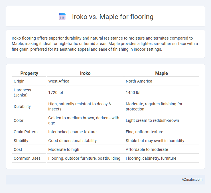 Iroko vs. Maple for flooring - What is The Difference?