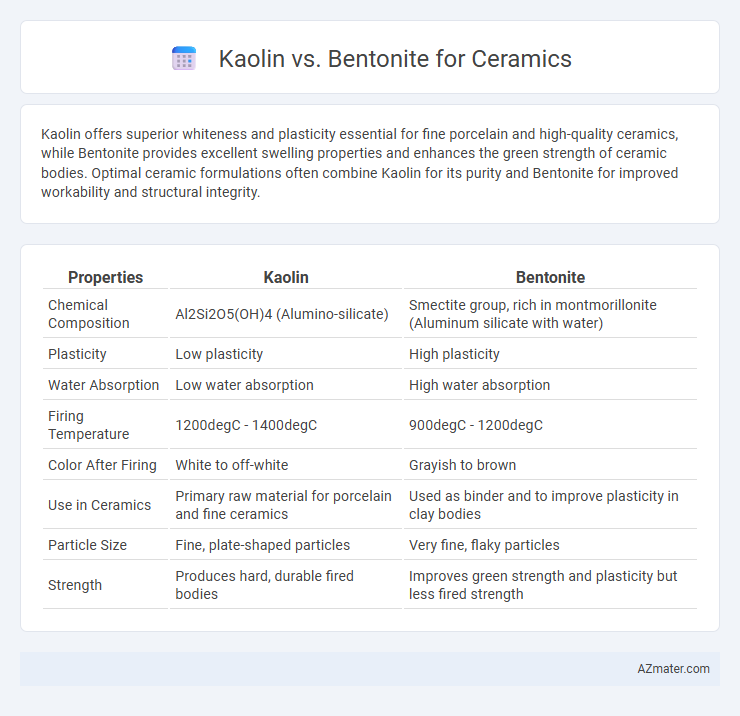 Kaolin vs. Bentonite for Ceramics - What is The Difference?