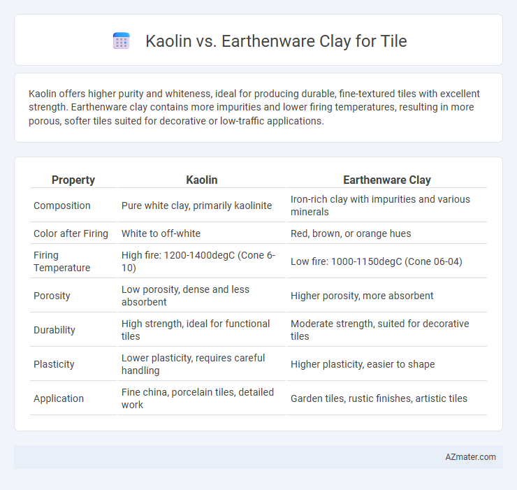 Kaolin vs. Earthenware Clay for Tile - What is The Difference?