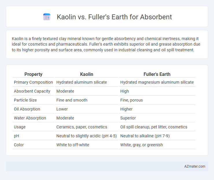Kaolin vs. Fuller's Earth for Absorbent - What is The Difference?