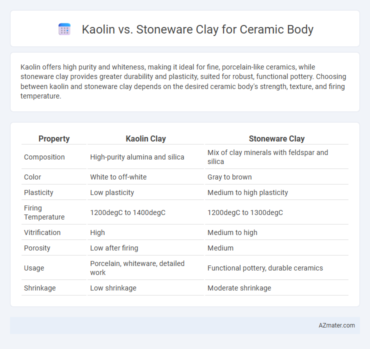 Kaolin vs. Stoneware Clay for Ceramic Body - What is The Difference?