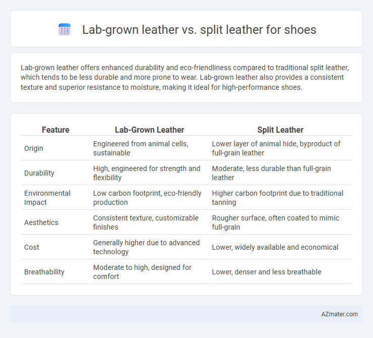 Lab-grown leather vs. split leather for shoes - What is The Difference?