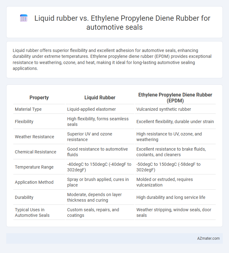 Liquid rubber vs. Ethylene Propylene Diene Rubber for automotive seals - What is The Difference?