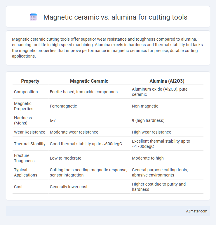 Magnetic ceramic vs. alumina for cutting tools - What is The Difference?