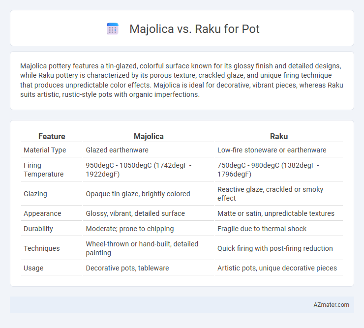 Majolica vs. Raku for Pot - What is The Difference?