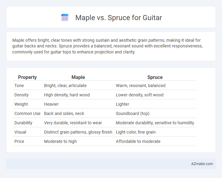 Maple vs. Spruce for Guitar - What is The Difference?