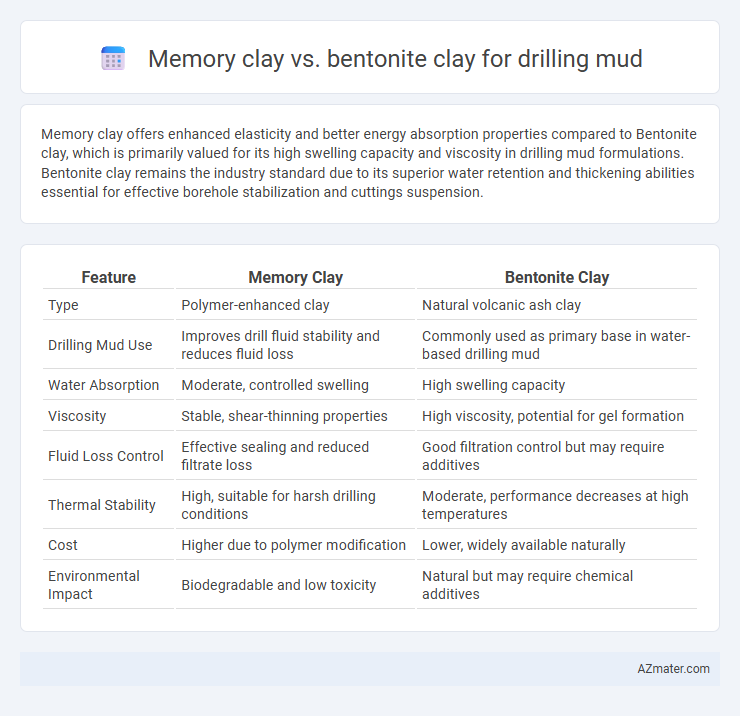 Memory clay vs. bentonite clay for drilling mud - What is The Difference?