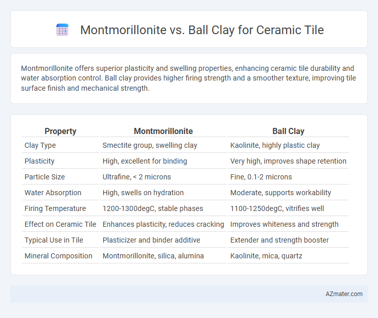 Montmorillonite vs. Ball Clay for Ceramic Tile - What is The Difference?