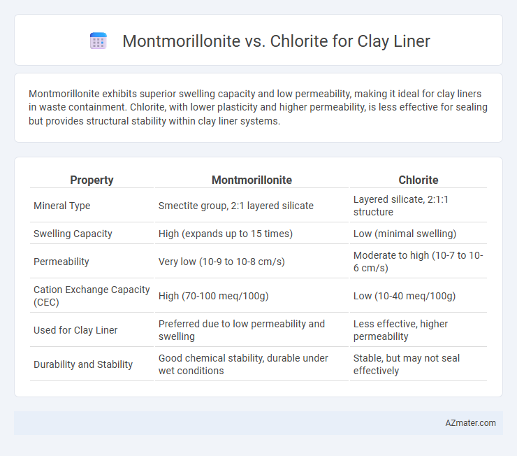 Montmorillonite vs. Chlorite for Clay Liner - What is The Difference?