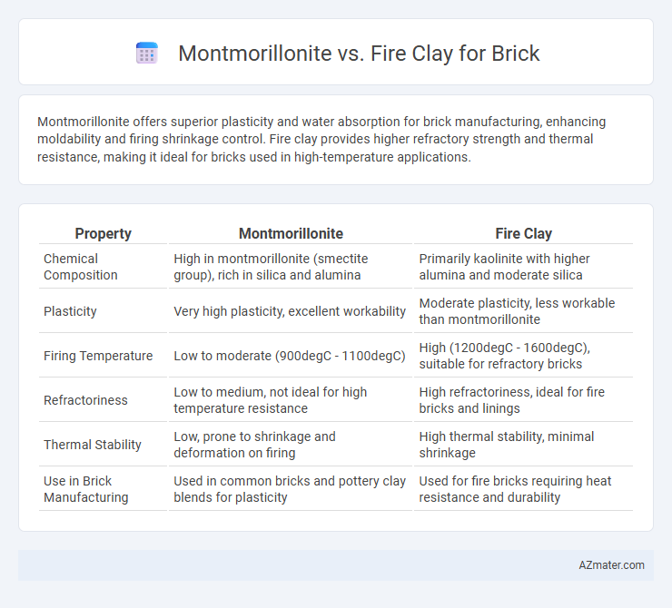 Montmorillonite vs. Fire Clay for Brick - What is The Difference?