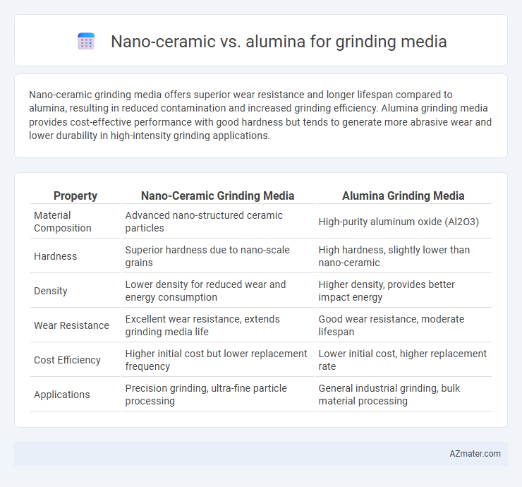 Nano-ceramic vs. alumina for grinding media - What is The Difference?