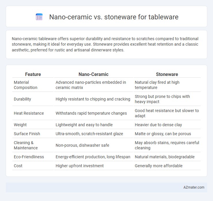 Nano-ceramic vs. stoneware for tableware - What is The Difference?