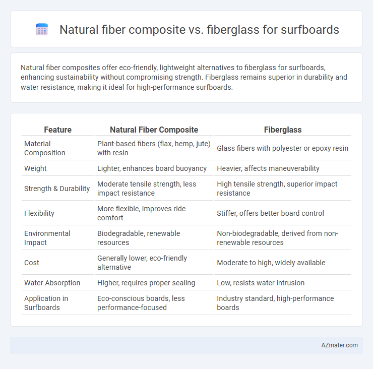 Natural fiber composite vs. fiberglass for surfboards - What is The Difference?