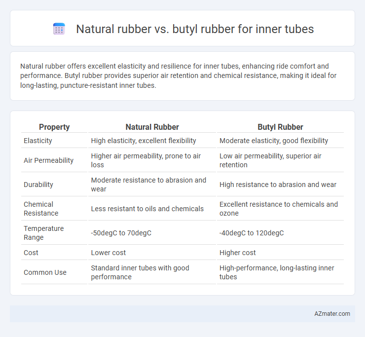 Natural rubber vs. butyl rubber for inner tubes - What is The Difference?