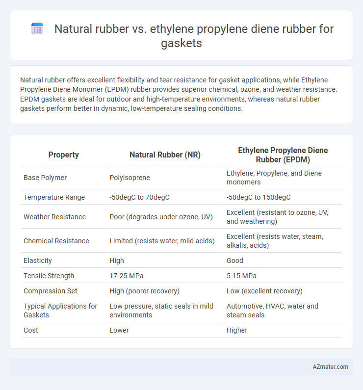Natural rubber vs. ethylene propylene diene rubber for gaskets - What is The Difference?
