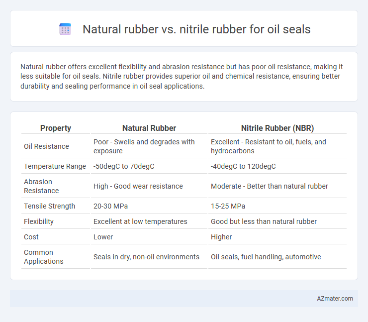 Natural rubber vs. nitrile rubber for oil seals - What is The Difference?