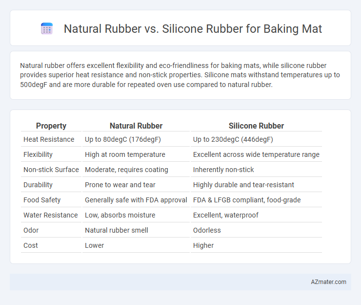 Natural Rubber vs. Silicone Rubber for Baking Mat - What is The Difference?