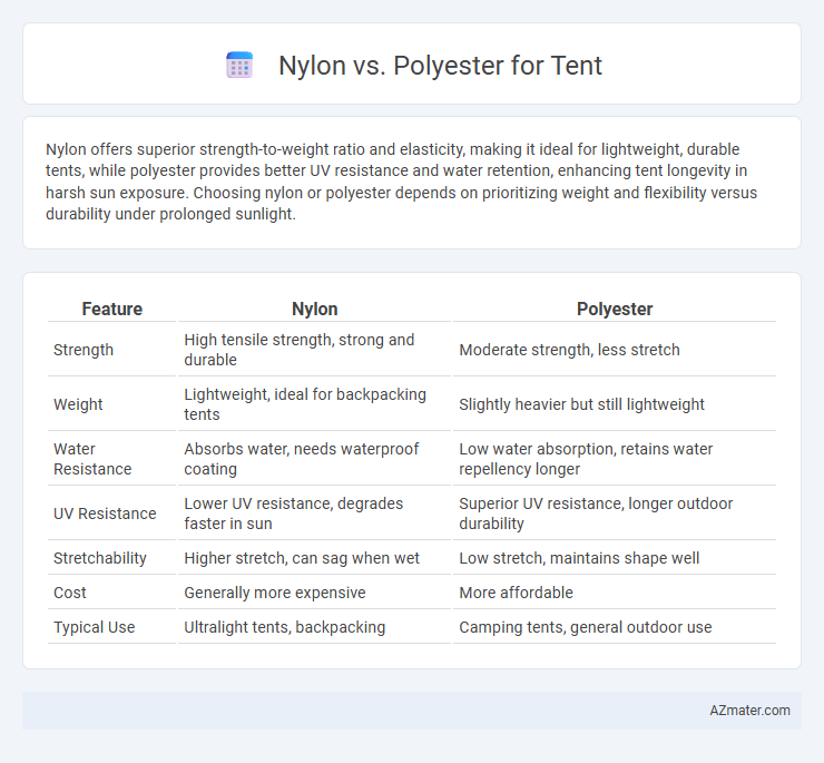 Nylon vs. Polyester for Tent - What is The Difference?
