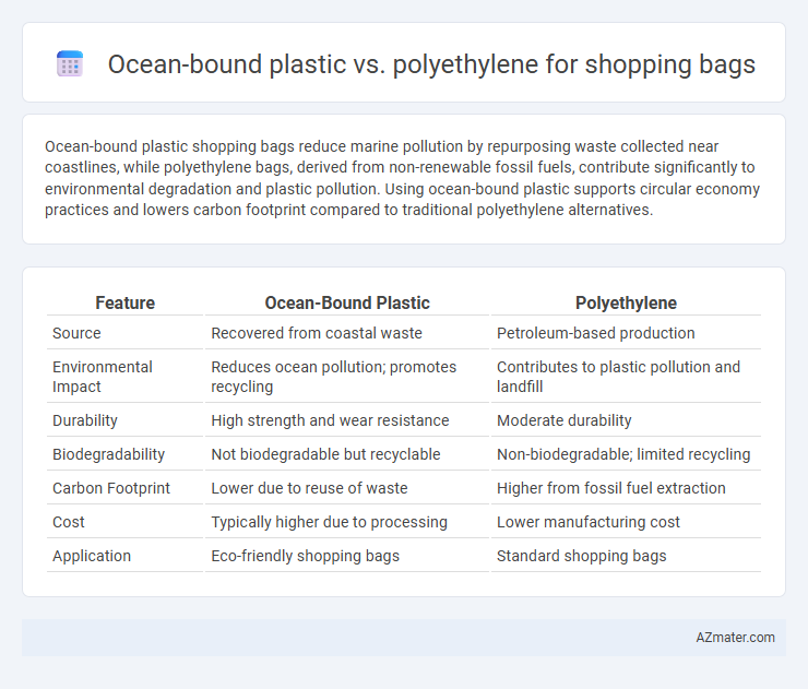 Ocean-bound plastic vs. polyethylene for shopping bags - What is The Difference?