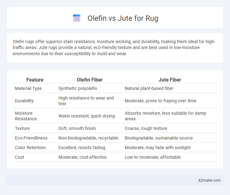 Olefin vs Jute for Rug - What is The Difference?